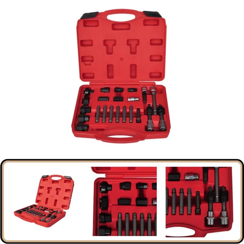 Vidaxl - Kit de démontage de roue libre d'alternateur 22 pcs - Outil Mécanique - Outil Auto - Démontage Roue Libre - Alternateur - Clé à Cliquet