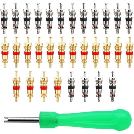 Kit de Dépose de Valve de Pneu, 1 pcs extracteur de valv, avec 32 Obus de Valve, Décapsuleur de Valve, extracteur de Noyau de Valve,Outils de Valve de Pneu, Valve Pneu Portable Obus de Valve