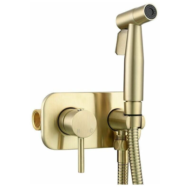 Kit de douchette wc comprenant un pulvérisateur bidet en laiton pour une hygiène personnelle, à fixer au mur avec une finition en or.