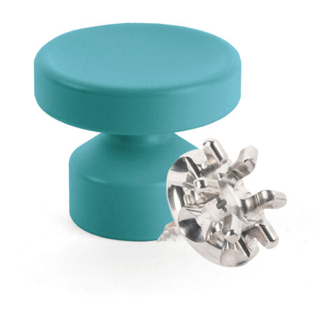 Kit de Fixation : Vis placo Longueur 16 mm Alu + Grande Patère concave Bleu canard - L'Attachante