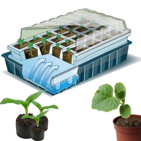 ▷🥇 distribuidor semillero germinación invernadero 24 compartimentos con  bandeja anti goteo sets de 3 piezas