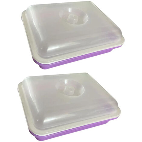 Kit De Germination De Semillas Premium Para El Violeta