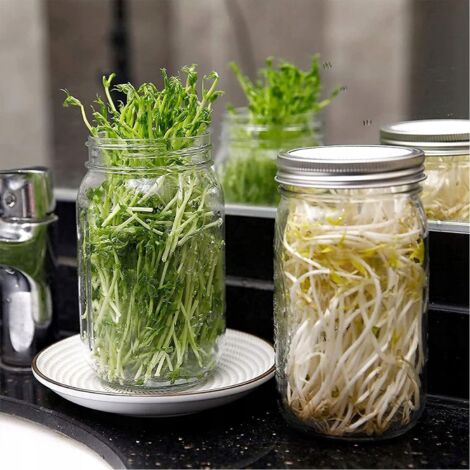 Kit de germination en bocal en verre pour la culture de germes à domicile, 1000 ml, 2 pièces