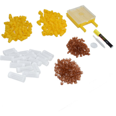 Kit de Greffage pour Élevage de Reines Abeilles, Outil de Marquage Réutilisable en Plastique pour Apiculture et Ruche