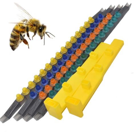 Kit de iniciación a la apicultura, kit de iniciación a la apicultura plegable multifuncional, taza de apicultura