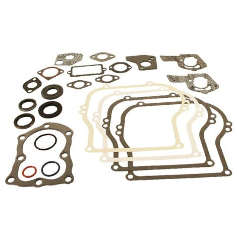 Kit de joints BRIGGS ET STRATTON 495603