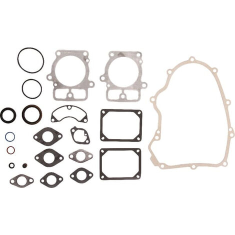 Kit de joints BRIGGS ET STRATTON 699823