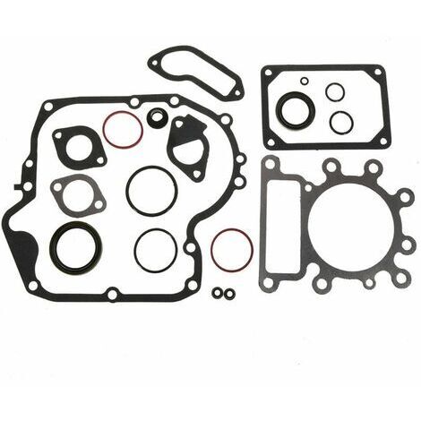 Kit de joints BRIGGS ET STRATTON 796181