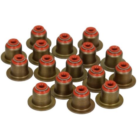 Kit de joints de queue de soupape Victor Reinz pour BMW 1/3/5 03-