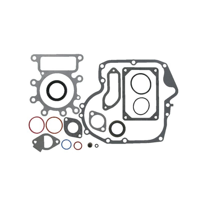 Briggs&stratton - Kit de joints moteur briggs et stratton 799117