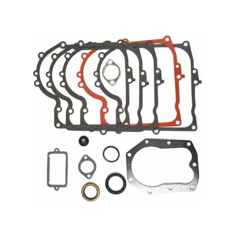 Matijardin - Kit de joints pour moteur Briggs & Stratton. n° origine 494241