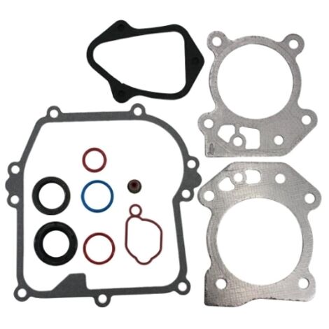 Kit de joints pour moteur BRIGGS & STRATTON série 450/500 OHV 08/09P000 595350
