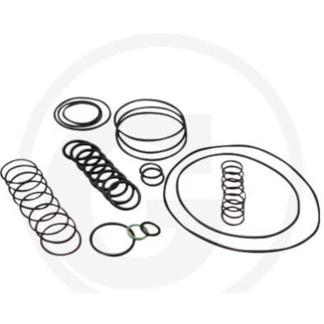Kit de joints toriques pour pompe à membrane AR 1064 AP C/C ANNOVI 6702378