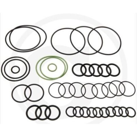 Kit de joints toriques pour pompe à membrane AR 1064 AP C/C ANNOVI 67043022