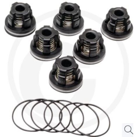 Kit de joints toriques pour pompe à membrane AR 813 ANNOVI 6701963