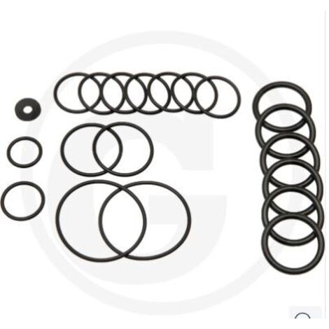 Kit de joints toriques pour pompe à membrane AR115 ANNOVI 6702026