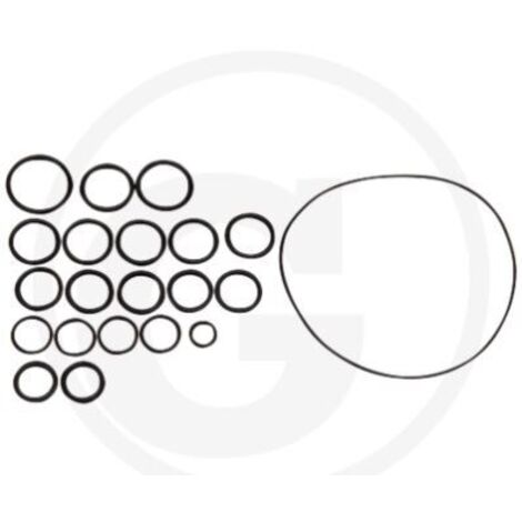 Kit de joints toriques pour pompe à membrane AR202 SP/RVI ANNOVI 6702409