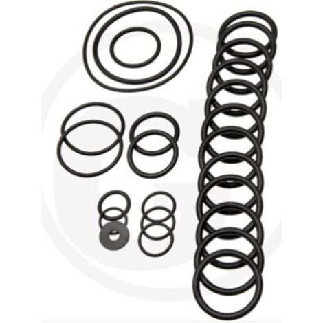 Kit de joints toriques pour pompe à membrane AR560 bp Twin C/C ANNOVI 6702431
