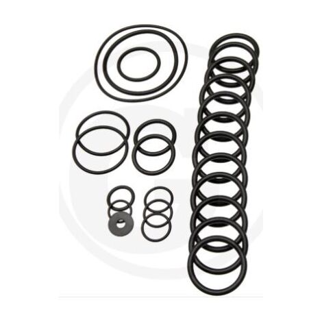 Kit de junta tórica para bomba de membrana AR560 bp Twin C/C ANNOVI 6702431