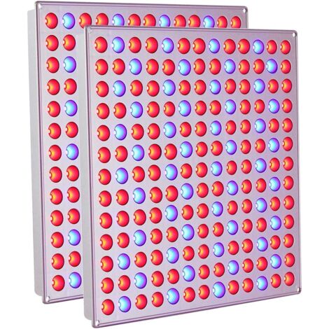 Kit de lampe LED pour plantes, lampe d’éclairage complémentaire rouge et bleue pour jardinage, culture de fleurs, légumes et semis, anti-étiolement
