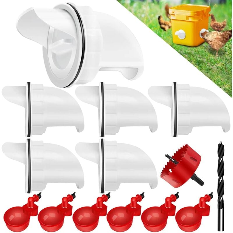 Kit de mangeoires automatiques pour volailles sans gaspillage et abreuvoir