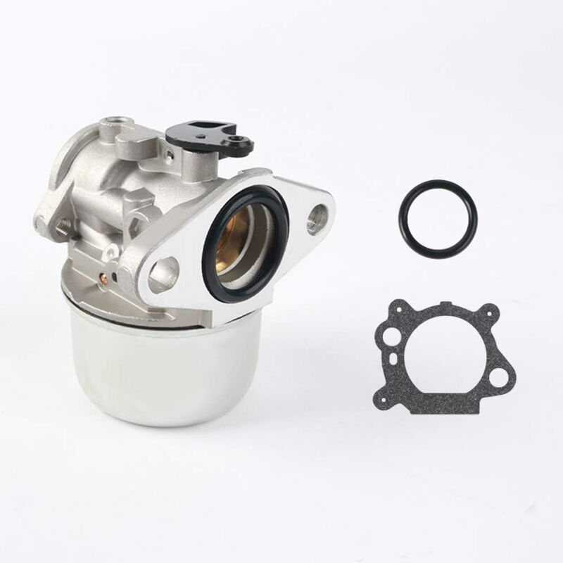 Kit De Remplacement De Carburateur De Moteur Compatible avec Brigg et Stratton 497586 498170 799868 498254 497314