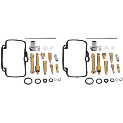 Kit de reparación de carburador (juego de 2) para Suzuki GS500E y BMW F650, F650SE y F650GS.