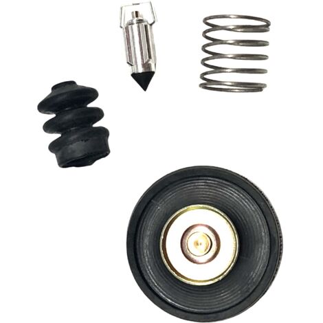 Kit de réparation carburateur - compatible Harley Davidson 883 XLH1200 - F61