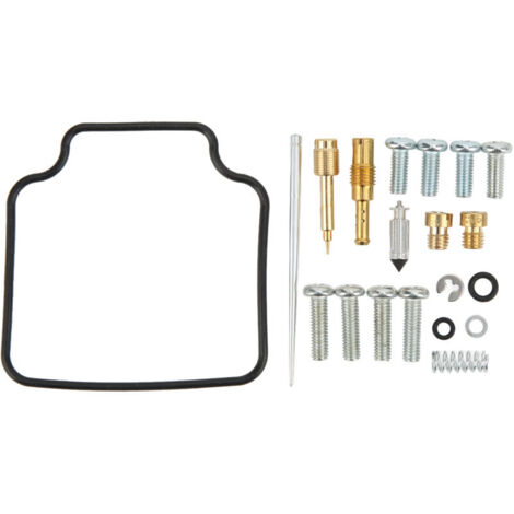 Kit de réparation de carburateur Carb 20 pièces avec joint de flotteur joint torique ressort à vis pour XR650L 19932018