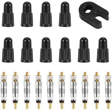 Kit de réparation de noyau de valve Presta, avec 10 noyaux tubeless en laiton de remplacement pour vélo, avec outil de retrait de noyau de valve, pour pneus tubeless de route et de VTT