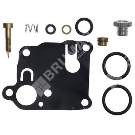 Kit de réparation pour carburateurs BRIGGS & STRATTON - 006638