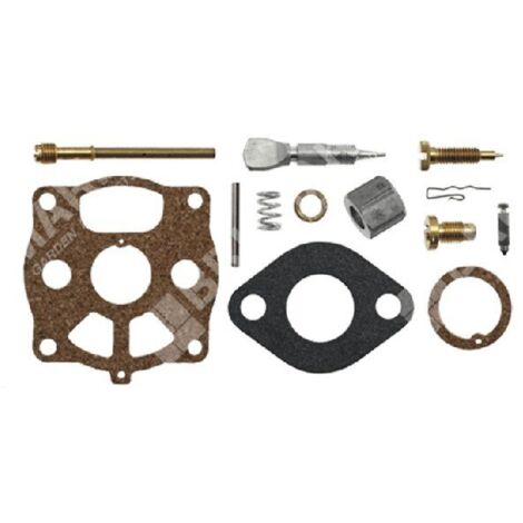 Kit de réparation pour carburateurs BRIGGS & STRATTON 291691 - 006643