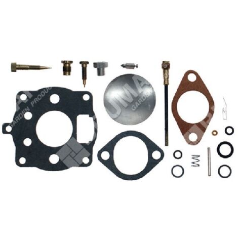 Kit de réparation pour carburateurs BRIGGS & STRATTON 391071 - 000097