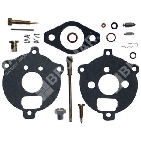 Kit de réparation pour carburateurs BRIGGS & STRATTON 394693 - 291763 - 295938 - 006645