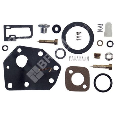 Kit de réparation pour carburateurs BRIGGS & STRATTON 494622 - 006641