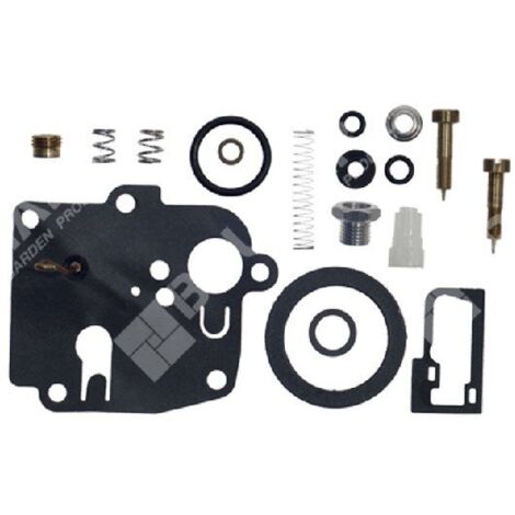 Kit de réparation pour carburateurs BRIGGS & STRATTON 494623 - 006642