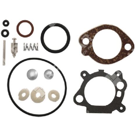 Kit de réparation pour carburateurs BRIGGS & STRATTON 498260 - 012921