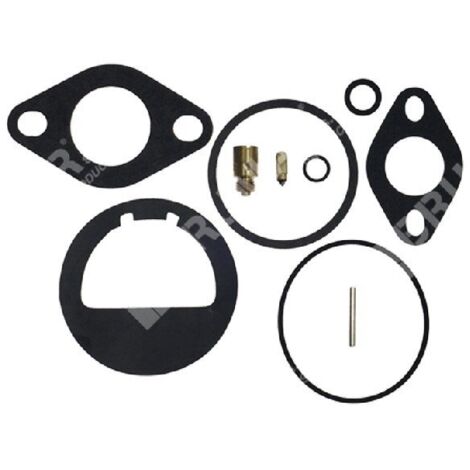 Kit de réparation pour carburateurs KOHLER 2575701 - 275776 - 006648