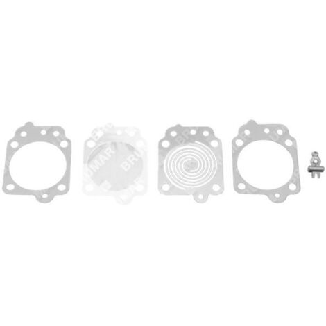 Kit de réparation pour carburateurs WALBRO K8-WYTA - 057149