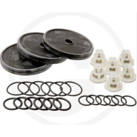Kit de réparation pour pompe à membrane APS 51 ANNOVI 6705026008400