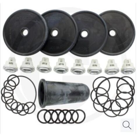 Kit de réparation pour pompe à membrane APS 96 ANNOVI 6705026008700