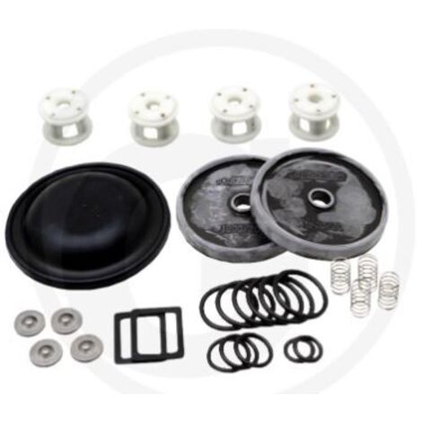 Kit de réparation pour pompe à membrane BP 20/15 ANNOVI 6705026006900