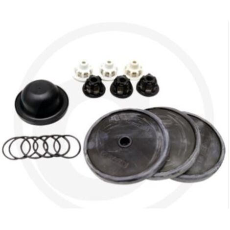 Kit de réparation pour pompe à membrane IDS 1201 1401 ANNOVI 6705026036700