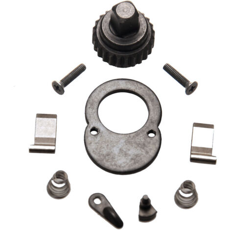 Kit de reparation pour tete de cliquet de cle dynamometrique 1/4