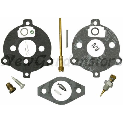 Kit de révision carburateur BRIGGS & STRATTON 7-9cv horizontal
