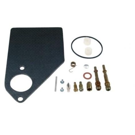 Kit de révision carburateur moteur BRIGGS & STRATTON 497578