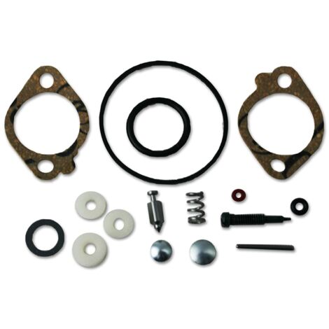 Kit de révision carburateur moteur BRIGGS & STRATTON Quantum 5 cv