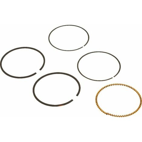 Kit de segments BRIGGS ET STRATTON 590523