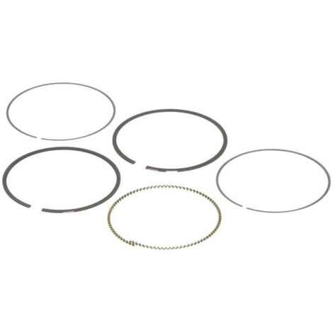 Kit de segments BRIGGS ET STRATTON 792026