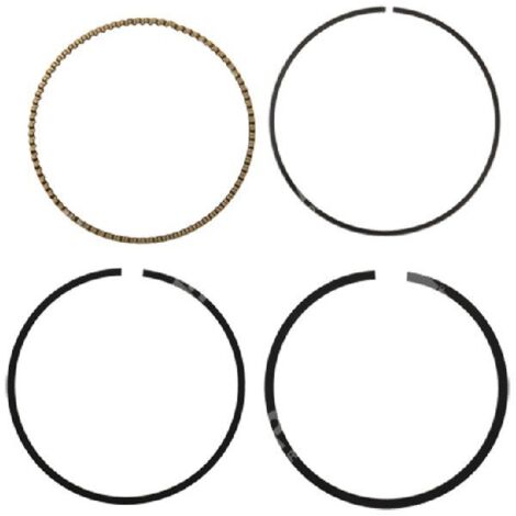 Kit de segments BRIGGS & STRATTON - 054746